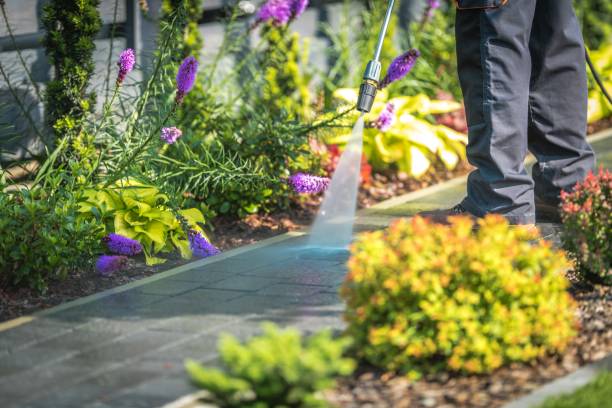 Reliable Milan, NM Pressure Washing Services Solutions